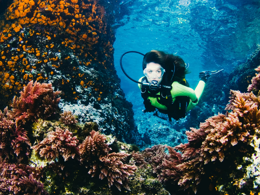 Why Your Sunscreen Matters — For Skin and the Sea